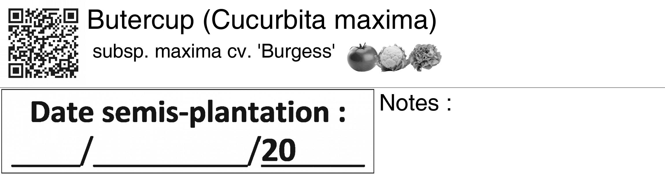 Étiquette de : Cucurbita maxima subsp. maxima cv. 'Burgess' - format c - style noire60_basiquegrrvhel avec qrcode et comestibilité simplifiée