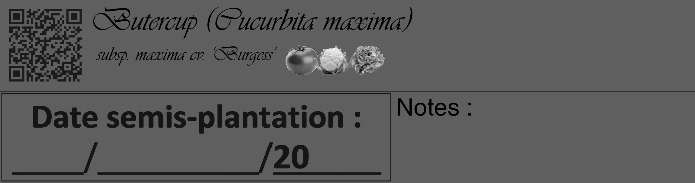 Étiquette de : Cucurbita maxima subsp. maxima cv. 'Burgess' - format c - style noire10_basique_basiqueviv avec qrcode et comestibilité simplifiée