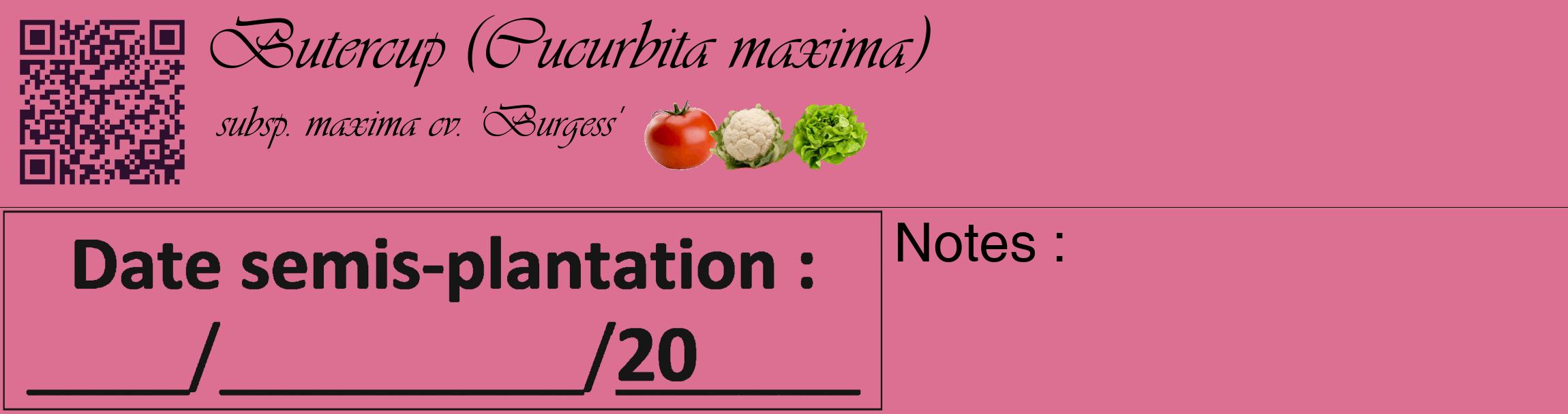 Étiquette de : Cucurbita maxima subsp. maxima cv. 'Burgess' - format c - style noire44_basique_basiqueviv avec qrcode et comestibilité simplifiée