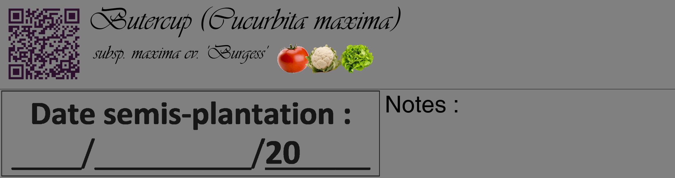 Étiquette de : Cucurbita maxima subsp. maxima cv. 'Burgess' - format c - style noire57_basique_basiqueviv avec qrcode et comestibilité simplifiée