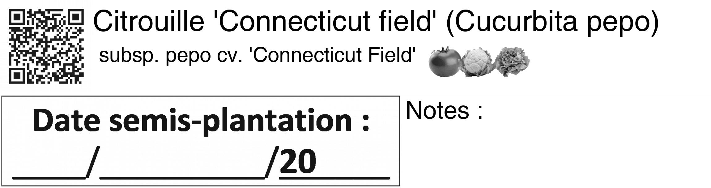 Étiquette de : Cucurbita pepo subsp. pepo cv. 'Connecticut Field' - format c - style noire60_basiquegrrvhel avec qrcode et comestibilité simplifiée