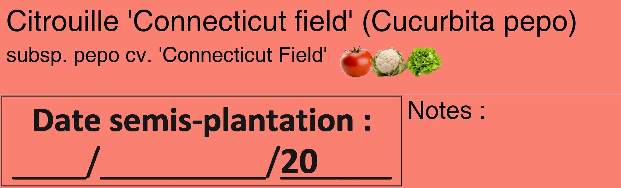 Étiquette de : Cucurbita pepo subsp. pepo cv. 'Connecticut Field' - format c - style noire38_basique_basiquehel avec comestibilité simplifiée