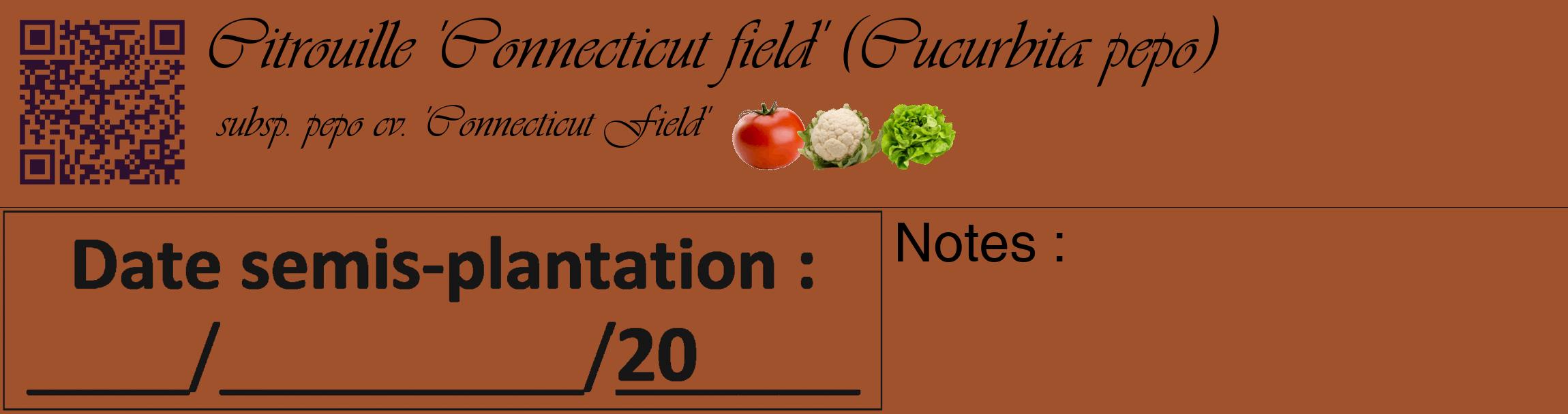 Étiquette de : Cucurbita pepo subsp. pepo cv. 'Connecticut Field' - format c - style noire32basique_basique_basiqueviv avec qrcode et comestibilité simplifiée