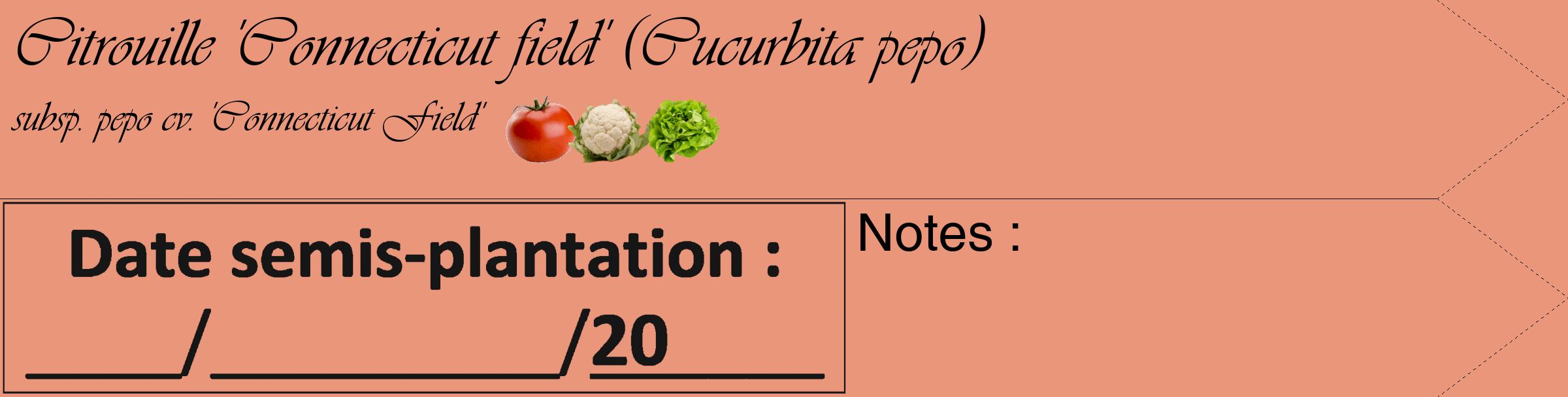 Étiquette de : Cucurbita pepo subsp. pepo cv. 'Connecticut Field' - format c - style noire37_simple_simpleviv avec comestibilité simplifiée