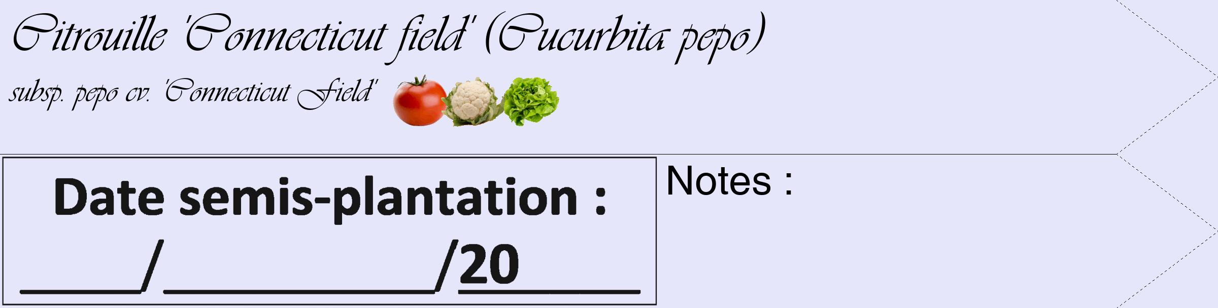 Étiquette de : Cucurbita pepo subsp. pepo cv. 'Connecticut Field' - format c - style noire55_simple_simpleviv avec comestibilité simplifiée