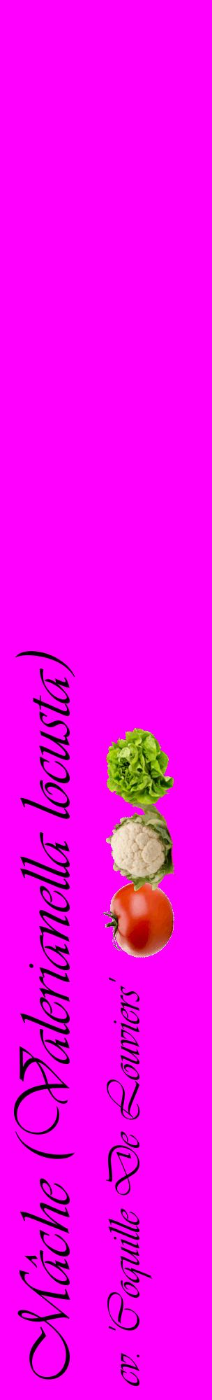 Étiquette de : Valerianella locusta cv. 'Coquille De Louviers' - format c - style noire51_basiqueviv avec comestibilité simplifiée