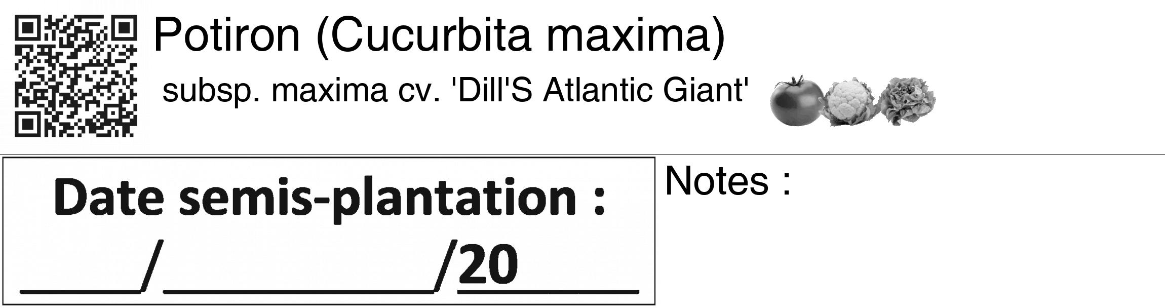 Étiquette de : Cucurbita maxima subsp. maxima cv. 'Dill'S Atlantic Giant' - format c - style noire60_basiquegrrvhel avec qrcode et comestibilité simplifiée