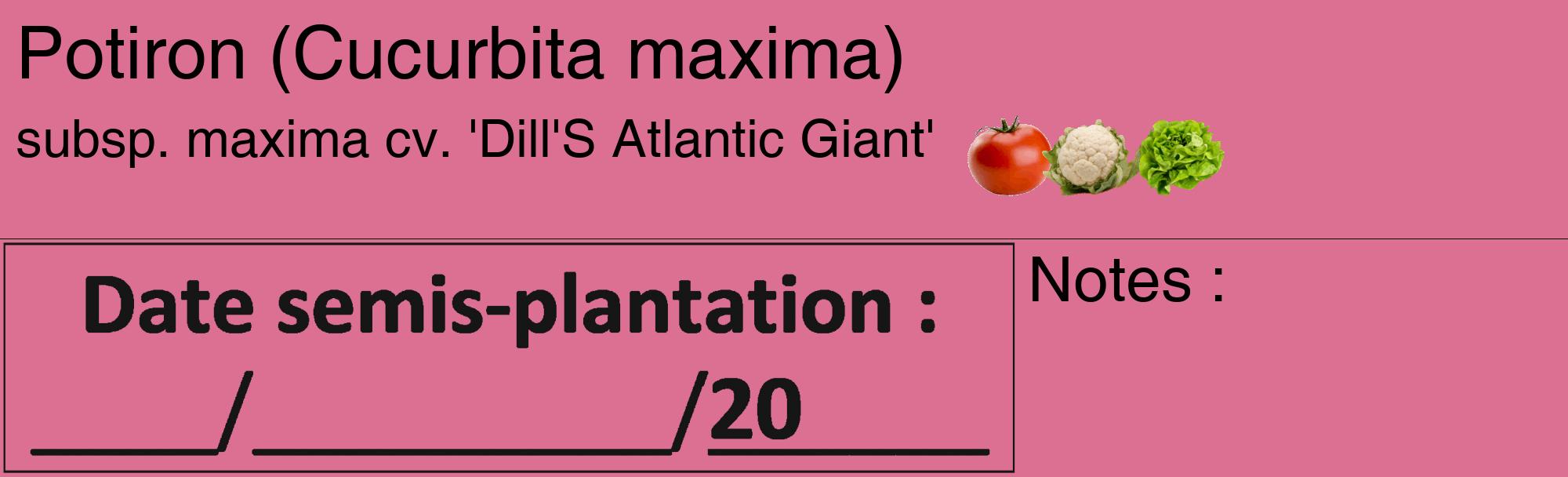 Étiquette de : Cucurbita maxima subsp. maxima cv. 'Dill'S Atlantic Giant' - format c - style noire44_basique_basiquehel avec comestibilité simplifiée