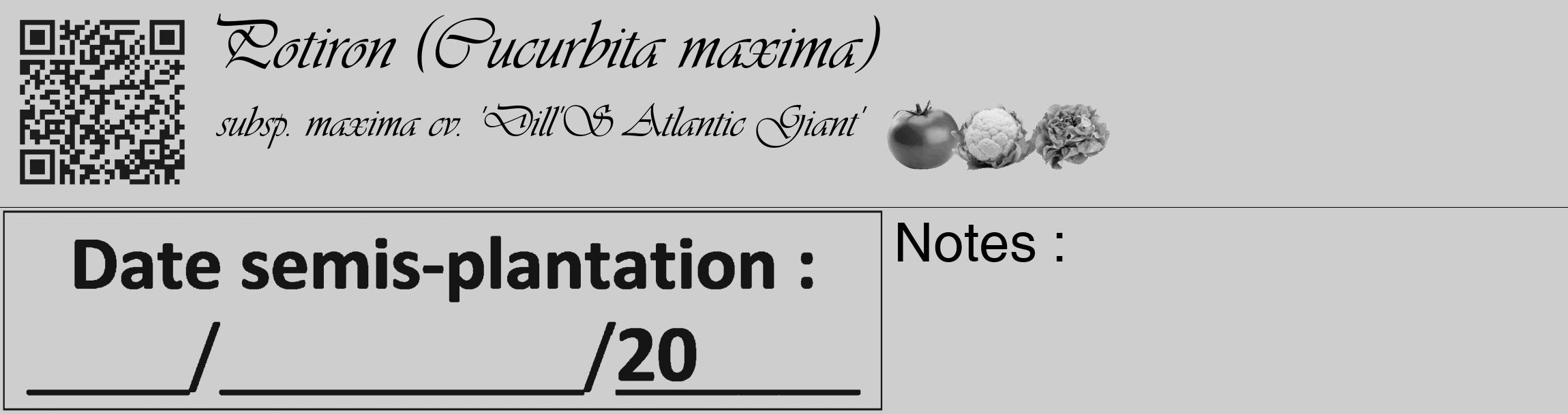 Étiquette de : Cucurbita maxima subsp. maxima cv. 'Dill'S Atlantic Giant' - format c - style noire17_basique_basiqueviv avec qrcode et comestibilité simplifiée