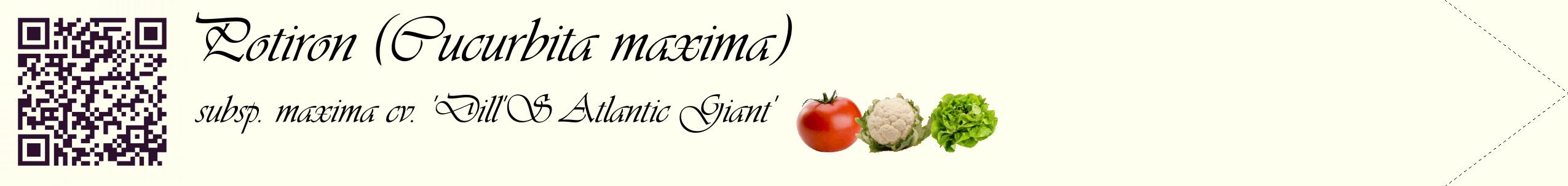 Étiquette de : Cucurbita maxima subsp. maxima cv. 'Dill'S Atlantic Giant' - format c - style noire19simple_basique_basiqueviv avec qrcode et comestibilité simplifiée