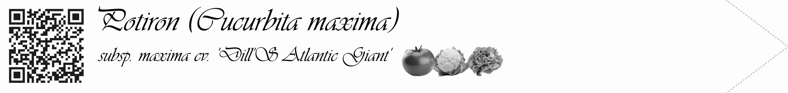 Étiquette de : Cucurbita maxima subsp. maxima cv. 'Dill'S Atlantic Giant' - format c - style noire19simple_simple_simpleviv avec qrcode et comestibilité simplifiée