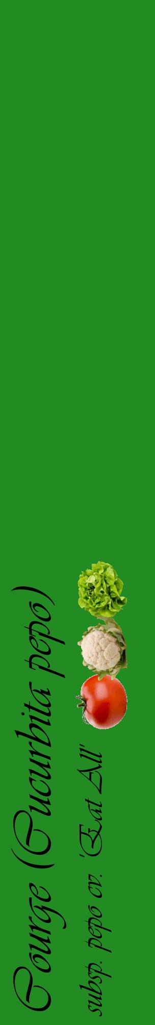 Étiquette de : Cucurbita pepo subsp. pepo cv. 'Eat All' - format c - style noire10_basiqueviv avec comestibilité simplifiée