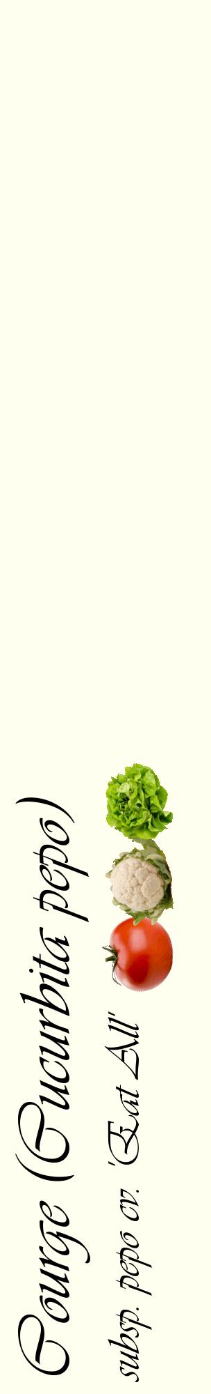 Étiquette de : Cucurbita pepo subsp. pepo cv. 'Eat All' - format c - style noire19_basiqueviv avec comestibilité simplifiée