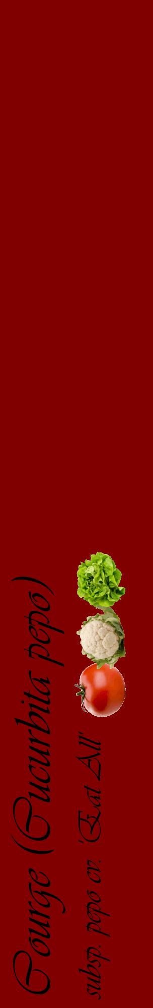 Étiquette de : Cucurbita pepo subsp. pepo cv. 'Eat All' - format c - style noire29_basiqueviv avec comestibilité simplifiée