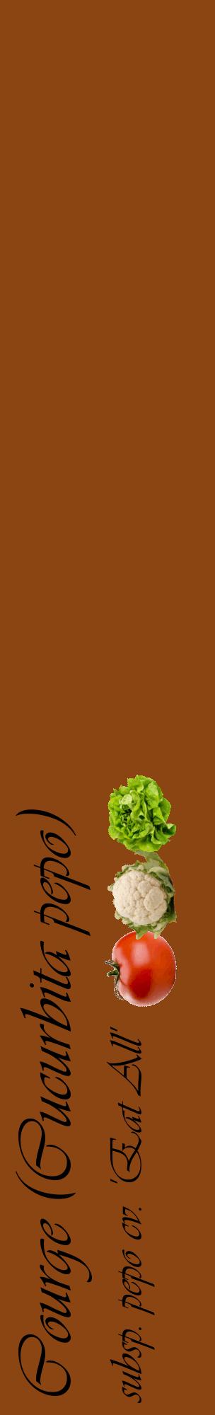 Étiquette de : Cucurbita pepo subsp. pepo cv. 'Eat All' - format c - style noire30_basiqueviv avec comestibilité simplifiée