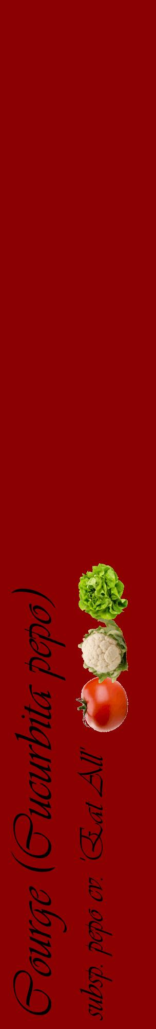 Étiquette de : Cucurbita pepo subsp. pepo cv. 'Eat All' - format c - style noire34_basiqueviv avec comestibilité simplifiée