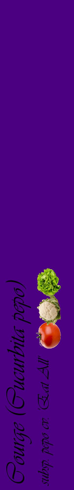 Étiquette de : Cucurbita pepo subsp. pepo cv. 'Eat All' - format c - style noire47_basiqueviv avec comestibilité simplifiée