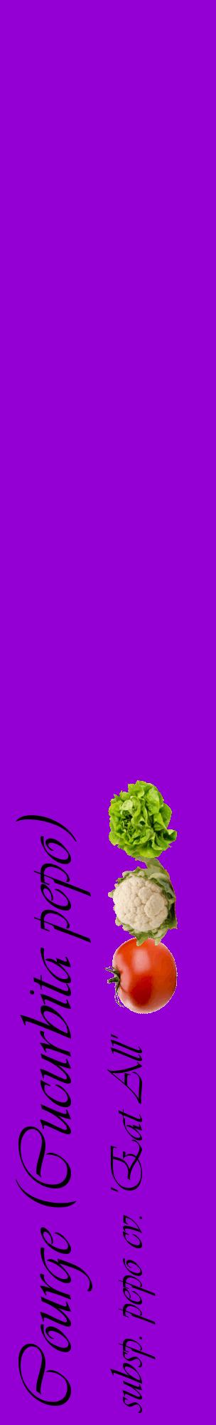 Étiquette de : Cucurbita pepo subsp. pepo cv. 'Eat All' - format c - style noire48_basiqueviv avec comestibilité simplifiée