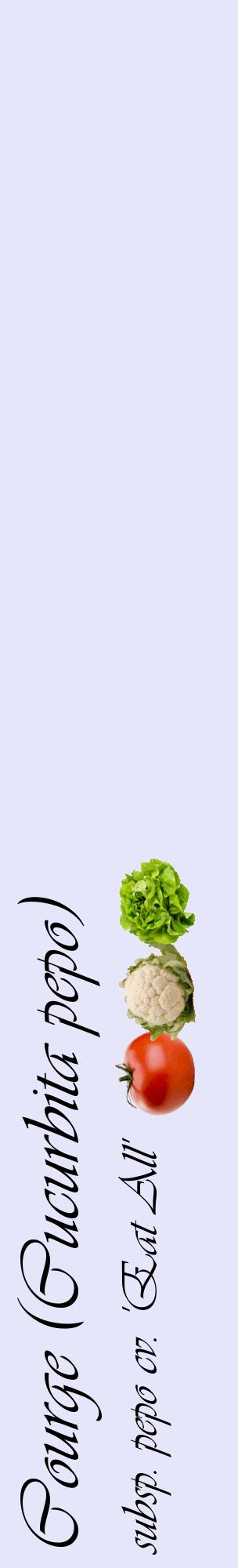 Étiquette de : Cucurbita pepo subsp. pepo cv. 'Eat All' - format c - style noire55_basiqueviv avec comestibilité simplifiée