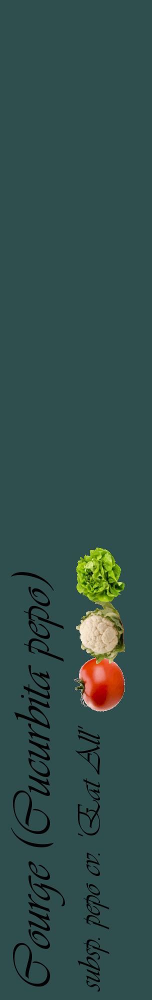 Étiquette de : Cucurbita pepo subsp. pepo cv. 'Eat All' - format c - style noire58_basiqueviv avec comestibilité simplifiée