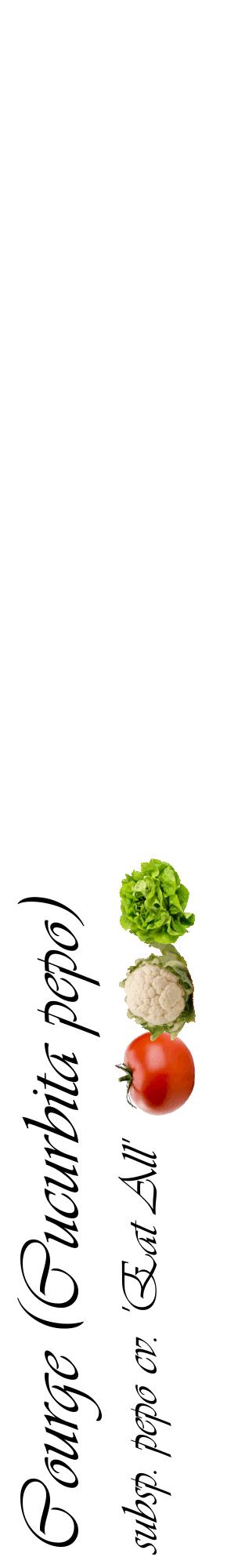 Étiquette de : Cucurbita pepo subsp. pepo cv. 'Eat All' - format c - style noire60_basiqueviv avec comestibilité simplifiée