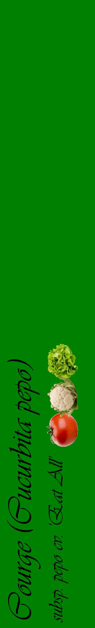Étiquette de : Cucurbita pepo subsp. pepo cv. 'Eat All' - format c - style noire9_basiqueviv avec comestibilité simplifiée