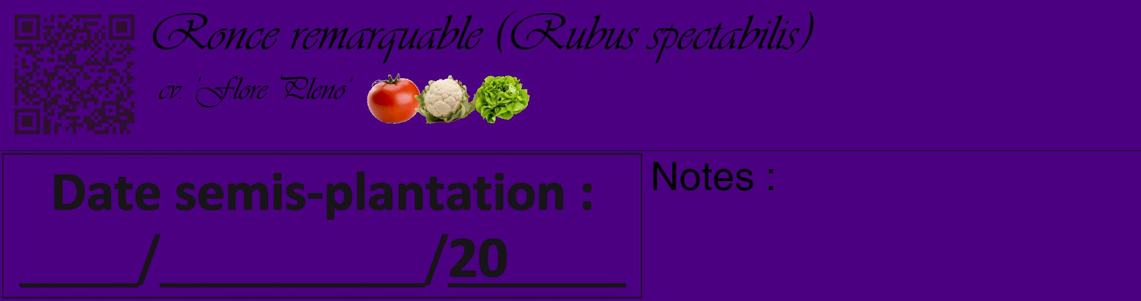 Étiquette de : Rubus spectabilis cv. 'Flore Pleno' - format c - style noire47_basique_basiqueviv avec qrcode et comestibilité simplifiée