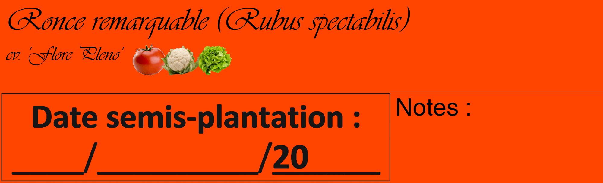 Étiquette de : Rubus spectabilis cv. 'Flore Pleno' - format c - style noire26_basique_basiqueviv avec comestibilité simplifiée