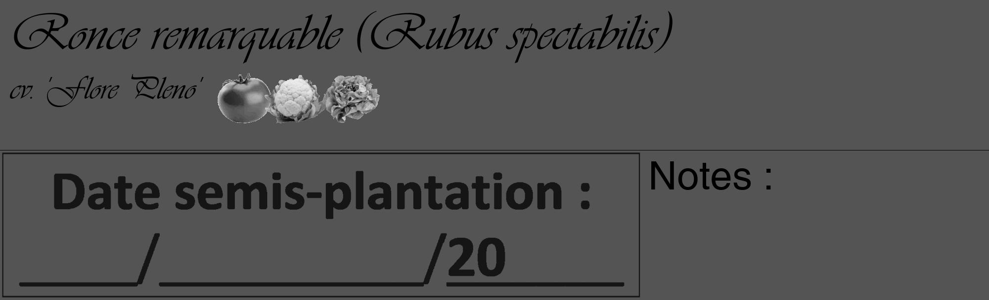 Étiquette de : Rubus spectabilis cv. 'Flore Pleno' - format c - style noire30_basique_basiqueviv avec comestibilité simplifiée
