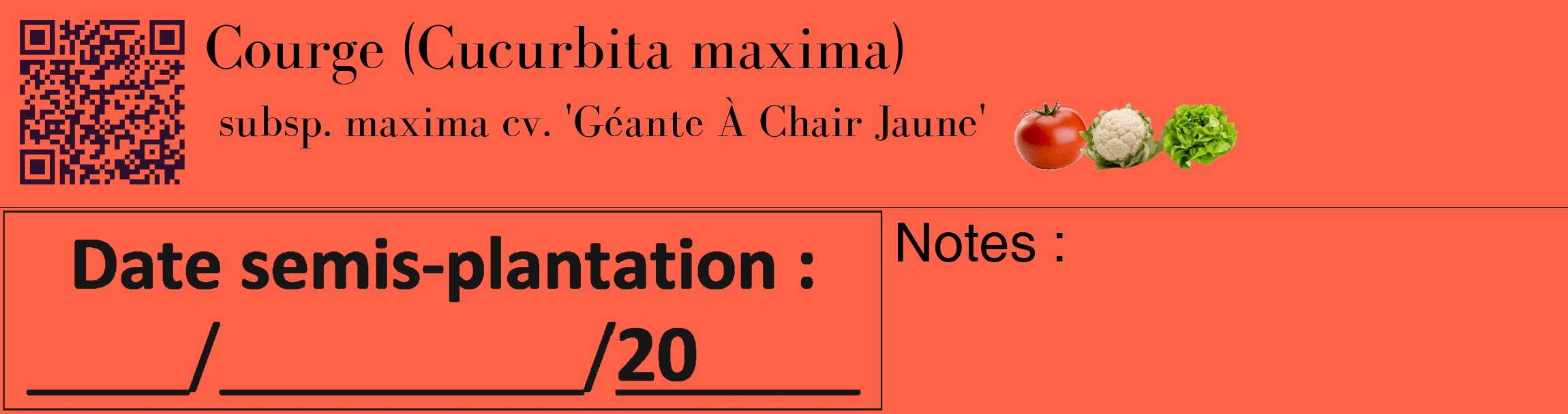 Étiquette de : Cucurbita maxima subsp. maxima cv. 'Géante À Chair Jaune' - format c - style noire25_basique_basiquebod avec qrcode et comestibilité simplifiée