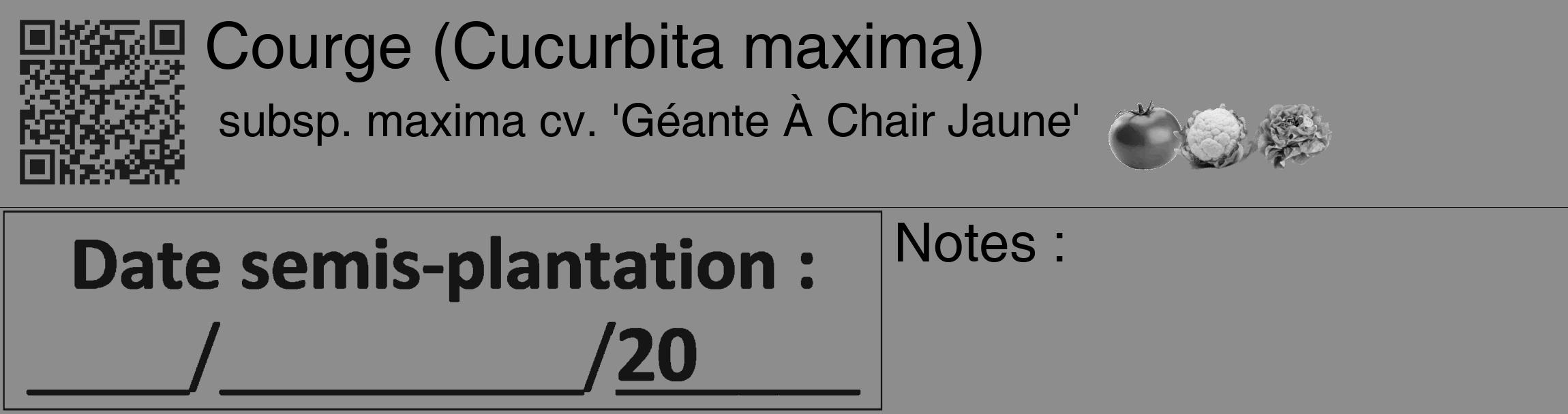 Étiquette de : Cucurbita maxima subsp. maxima cv. 'Géante À Chair Jaune' - format c - style noire2_basique_basiquehel avec qrcode et comestibilité simplifiée