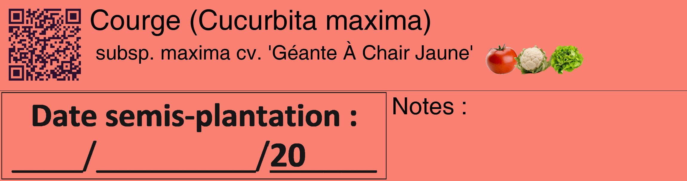 Étiquette de : Cucurbita maxima subsp. maxima cv. 'Géante À Chair Jaune' - format c - style noire38_basique_basiquehel avec qrcode et comestibilité simplifiée