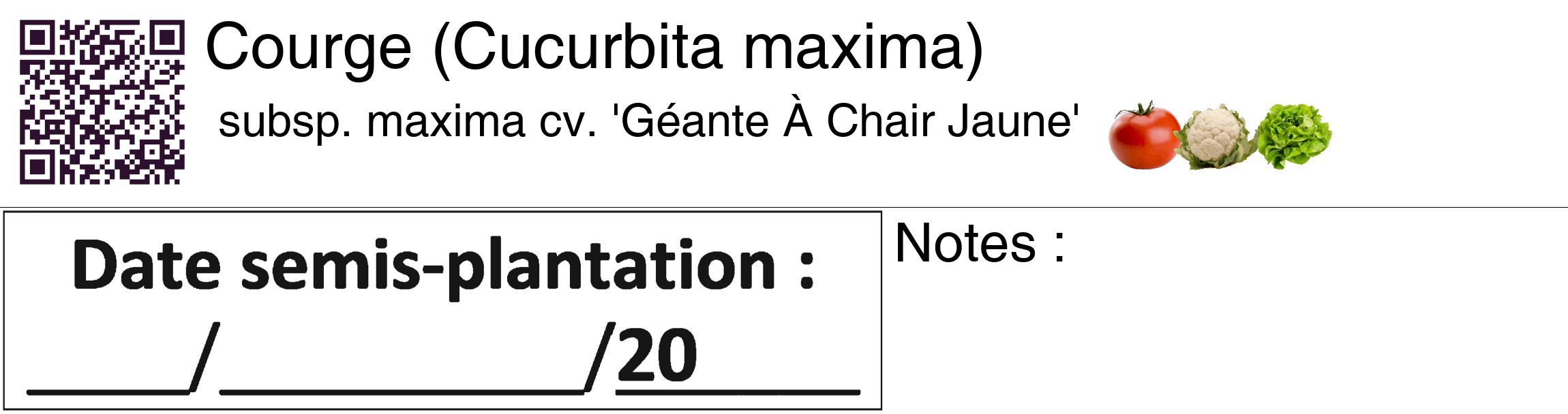 Étiquette de : Cucurbita maxima subsp. maxima cv. 'Géante À Chair Jaune' - format c - style noire60_basique_basiquehel avec qrcode et comestibilité simplifiée