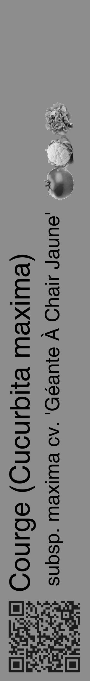 Étiquette de : Cucurbita maxima subsp. maxima cv. 'Géante À Chair Jaune' - format c - style noire2_basique_basiquehel avec qrcode et comestibilité simplifiée - position verticale
