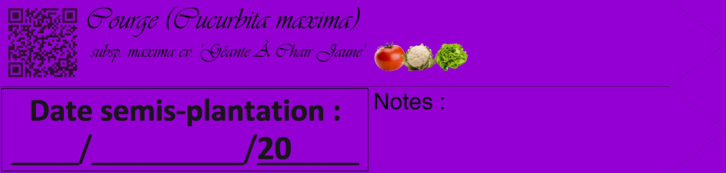 Étiquette de : Cucurbita maxima subsp. maxima cv. 'Géante À Chair Jaune' - format c - style noire48simple_basique_basiqueviv avec qrcode et comestibilité simplifiée