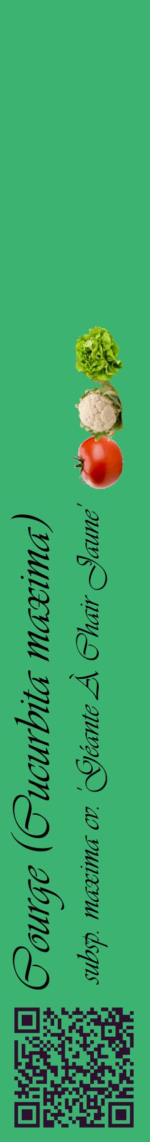 Étiquette de : Cucurbita maxima subsp. maxima cv. 'Géante À Chair Jaune' - format c - style noire12_basiqueviv avec qrcode et comestibilité simplifiée