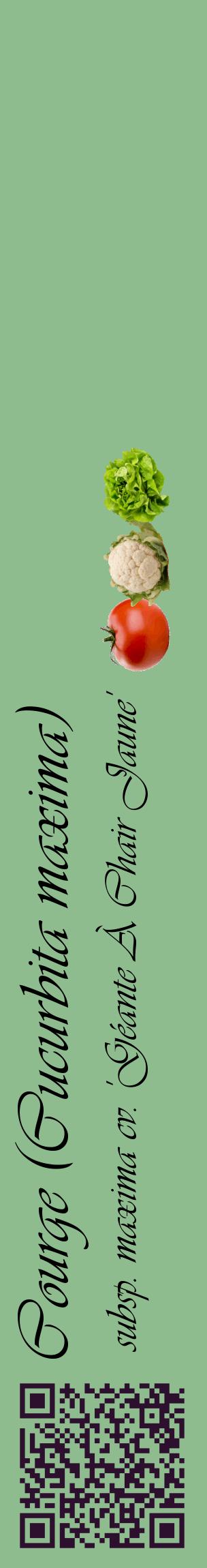 Étiquette de : Cucurbita maxima subsp. maxima cv. 'Géante À Chair Jaune' - format c - style noire13_basiqueviv avec qrcode et comestibilité simplifiée