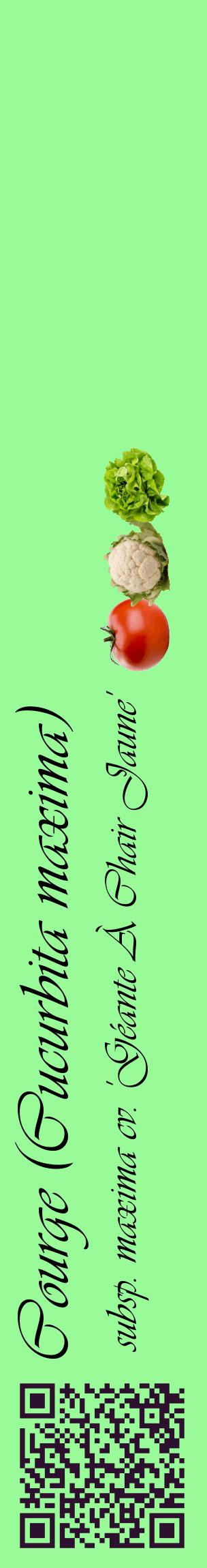 Étiquette de : Cucurbita maxima subsp. maxima cv. 'Géante À Chair Jaune' - format c - style noire14_basiqueviv avec qrcode et comestibilité simplifiée