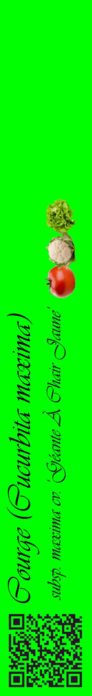 Étiquette de : Cucurbita maxima subsp. maxima cv. 'Géante À Chair Jaune' - format c - style noire16_basiqueviv avec qrcode et comestibilité simplifiée