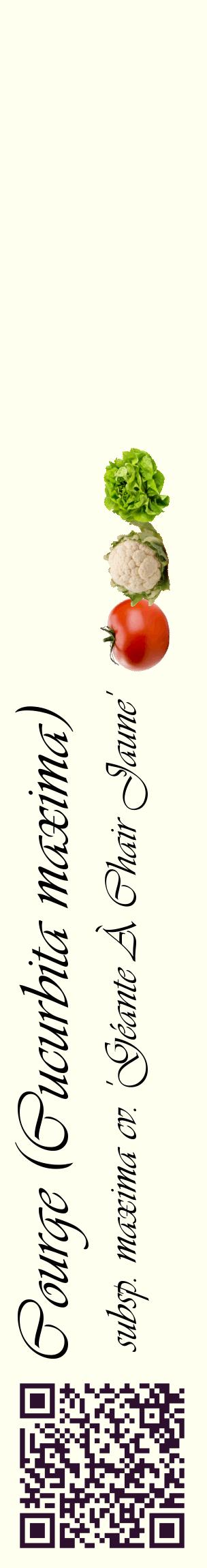 Étiquette de : Cucurbita maxima subsp. maxima cv. 'Géante À Chair Jaune' - format c - style noire19_basiqueviv avec qrcode et comestibilité simplifiée