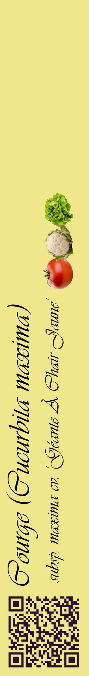 Étiquette de : Cucurbita maxima subsp. maxima cv. 'Géante À Chair Jaune' - format c - style noire20_basiqueviv avec qrcode et comestibilité simplifiée