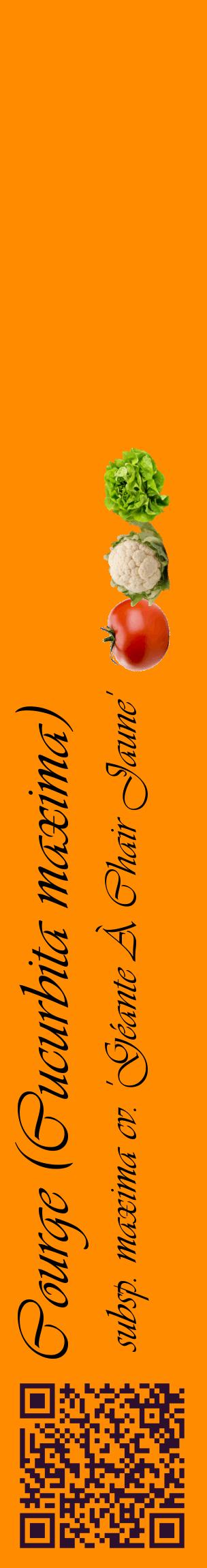 Étiquette de : Cucurbita maxima subsp. maxima cv. 'Géante À Chair Jaune' - format c - style noire23_basiqueviv avec qrcode et comestibilité simplifiée