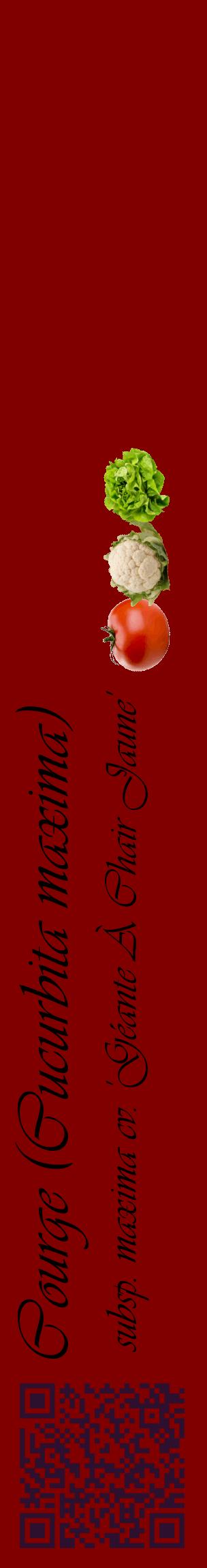 Étiquette de : Cucurbita maxima subsp. maxima cv. 'Géante À Chair Jaune' - format c - style noire29_basiqueviv avec qrcode et comestibilité simplifiée