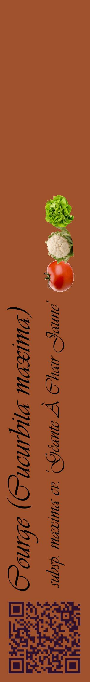 Étiquette de : Cucurbita maxima subsp. maxima cv. 'Géante À Chair Jaune' - format c - style noire32_basiqueviv avec qrcode et comestibilité simplifiée