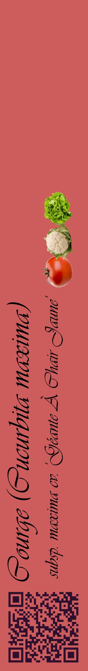 Étiquette de : Cucurbita maxima subsp. maxima cv. 'Géante À Chair Jaune' - format c - style noire35_basiqueviv avec qrcode et comestibilité simplifiée