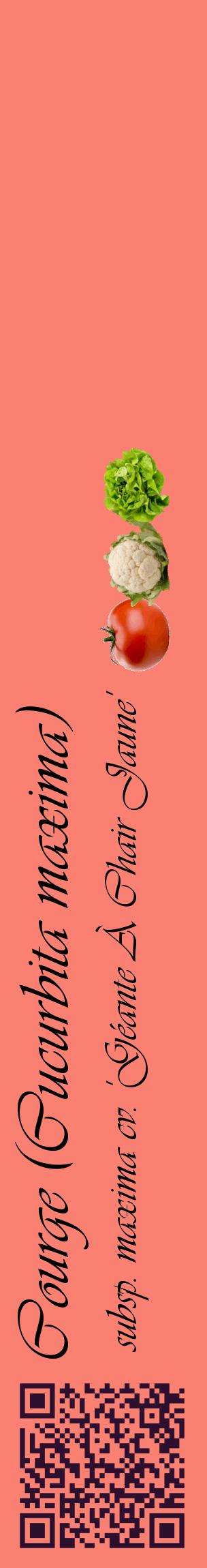 Étiquette de : Cucurbita maxima subsp. maxima cv. 'Géante À Chair Jaune' - format c - style noire38_basiqueviv avec qrcode et comestibilité simplifiée