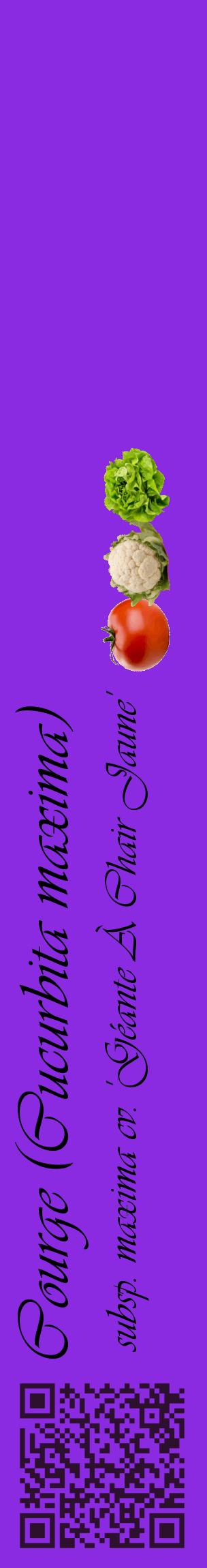 Étiquette de : Cucurbita maxima subsp. maxima cv. 'Géante À Chair Jaune' - format c - style noire49_basiqueviv avec qrcode et comestibilité simplifiée