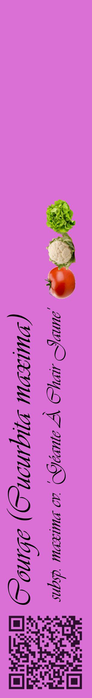 Étiquette de : Cucurbita maxima subsp. maxima cv. 'Géante À Chair Jaune' - format c - style noire52_basiqueviv avec qrcode et comestibilité simplifiée