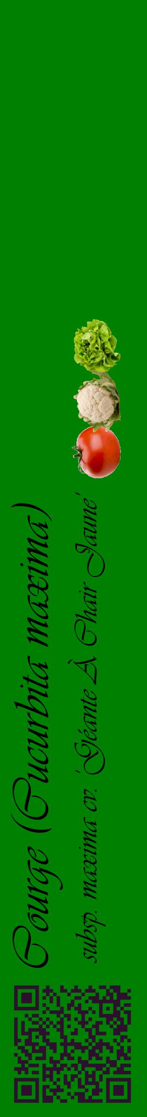 Étiquette de : Cucurbita maxima subsp. maxima cv. 'Géante À Chair Jaune' - format c - style noire9_basiqueviv avec qrcode et comestibilité simplifiée