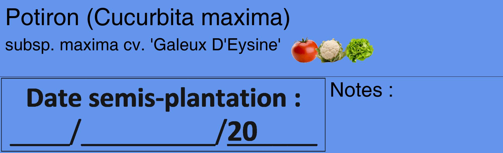 Étiquette de : Cucurbita maxima subsp. maxima cv. 'Galeux D'Eysine' - format c - style noire4basique_basique_basiquehel avec comestibilité simplifiée